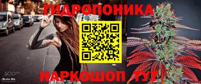 PSILOCYBIN Беслан