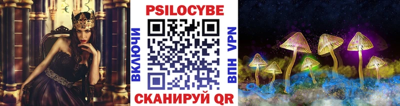 Галлюциногенные грибы мицелий  закладка  Мытищи 