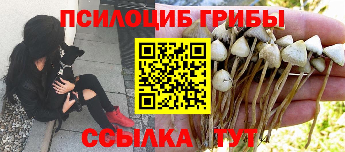 Галлюциногенные грибы прущие грибы  дарнет шоп  Галлюциногенные грибы мицелий  Мытищи 