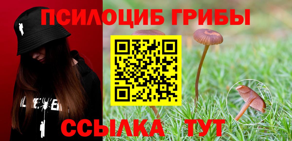 купить наркотик  Галлюциногенные грибы Magic Shrooms  Вход с VPN  Мытищи 