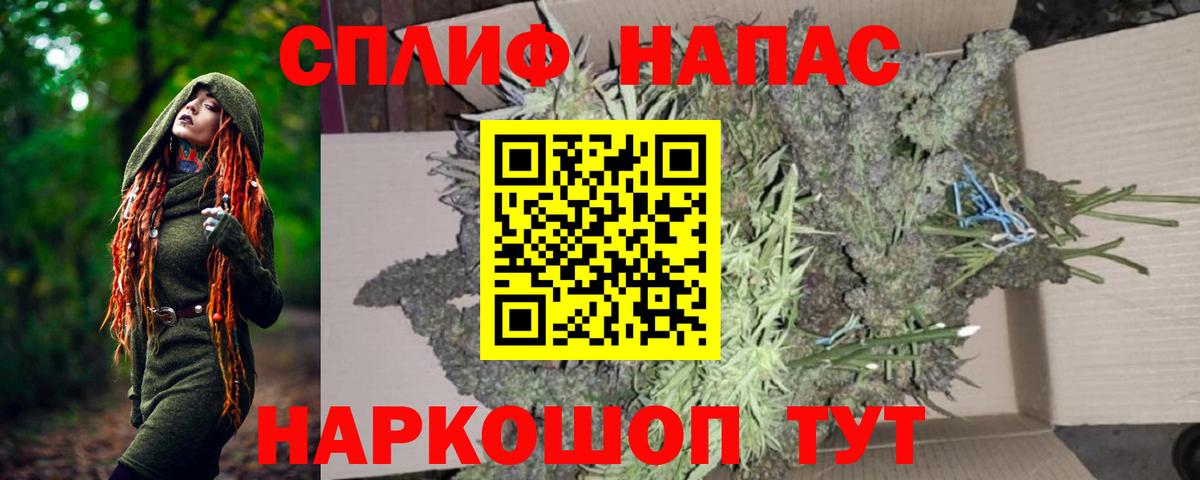 Каннабис OG Kush Мытищи
